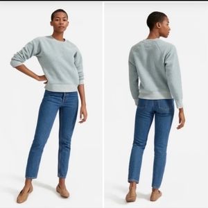 Everlane Renew baby blue Teddy fleece crewneck sweater sweatshirt Xs Sustainable